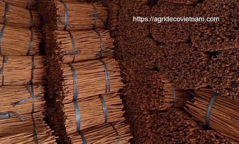 Cinnamon sticks in Vietnam