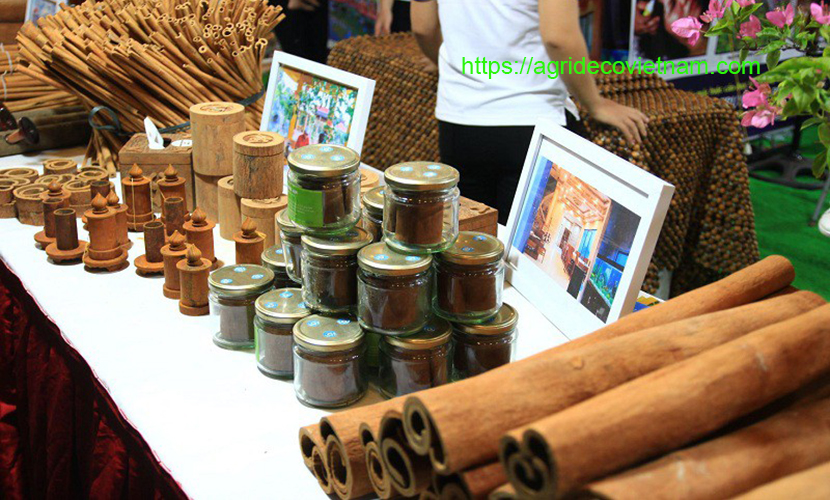 Cinnamon products in Vietnam
