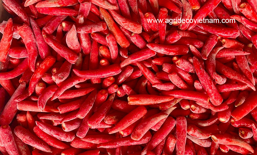 Frozen red chilli from Vietnam