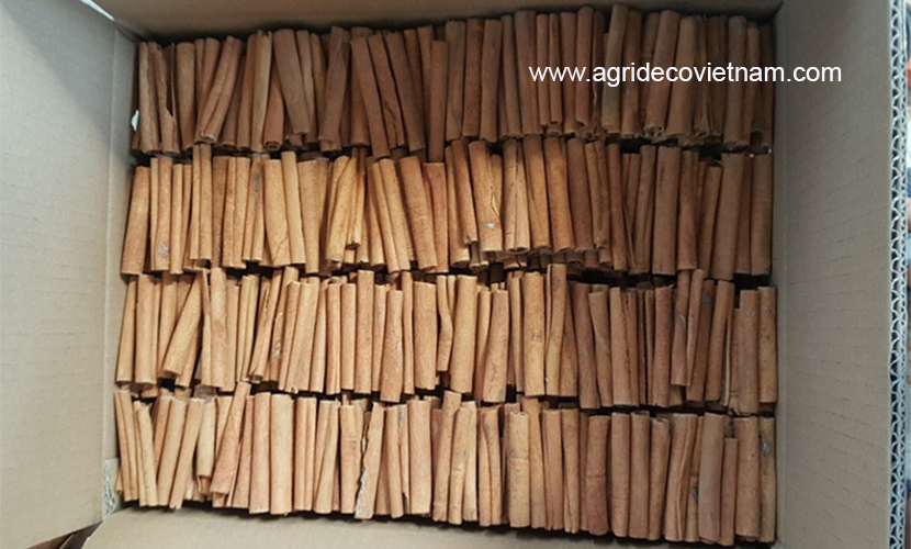 Cinnamon sticks from Vietnam: 8cm