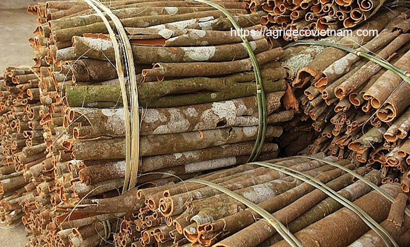 Quang Ngai cinnamon products