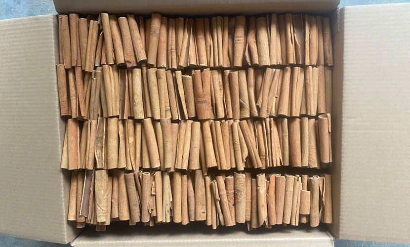 Saigon cassia sticks
