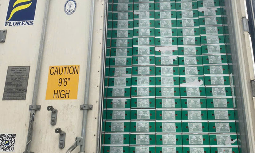 A shipment of Vietnamese carrots to Malaysia