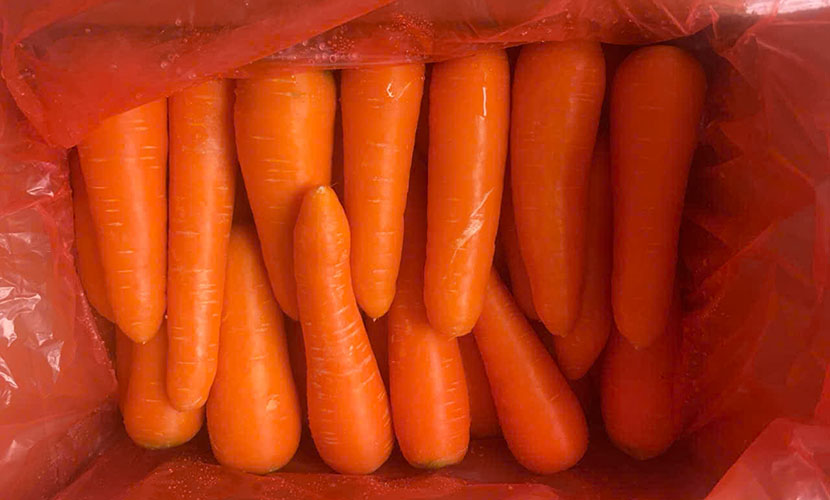 Vietnam's carrot for export