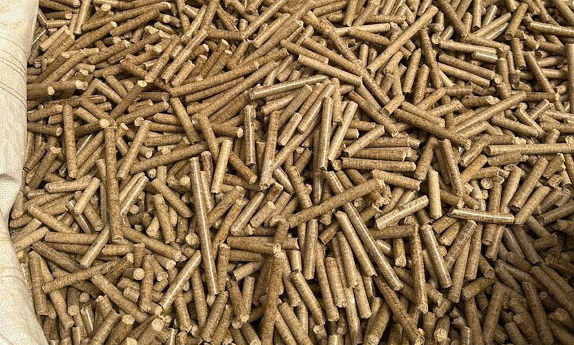 Rice husk wood pellets from Vietnam