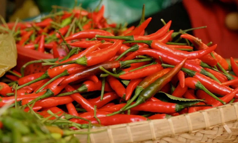 Vietnamese fresh chili