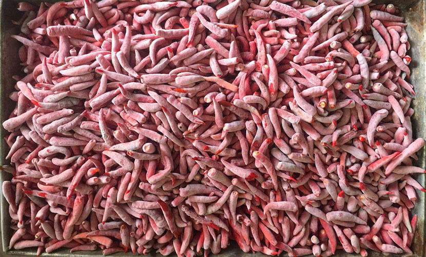 Vietnamese frozen chili