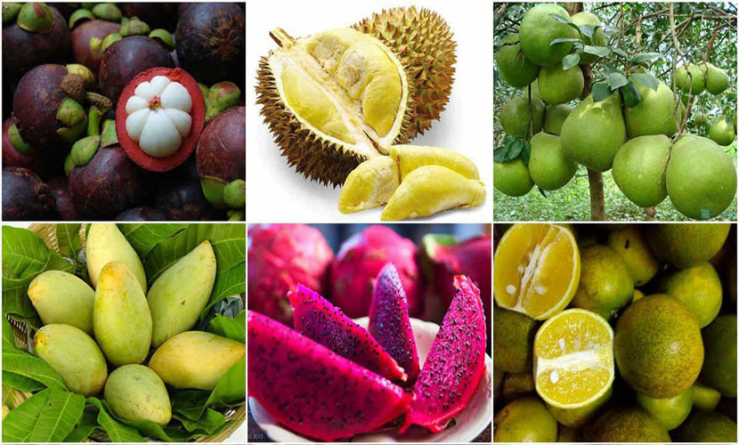 Agricultural products from Vietnam