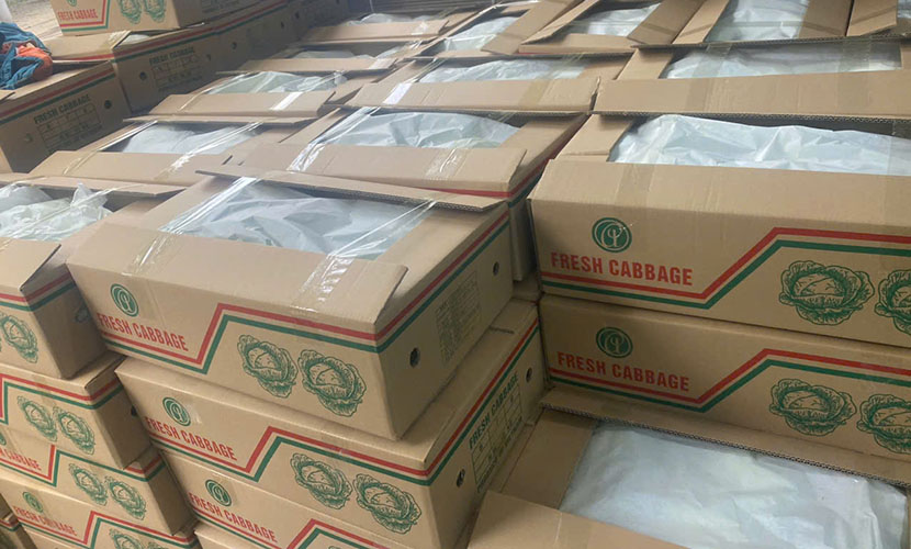 Cabbage boxes from Agrideco Vietnam Co., Ltd.