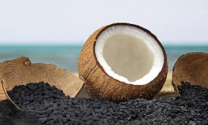 Coconut shell charcoal
