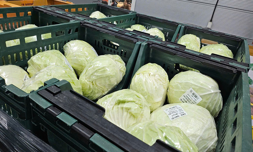 Vietnamese cabbage on Korean supermarkets