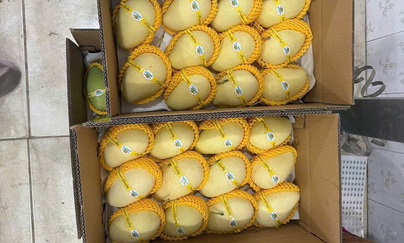 Vietnamese fresh mango