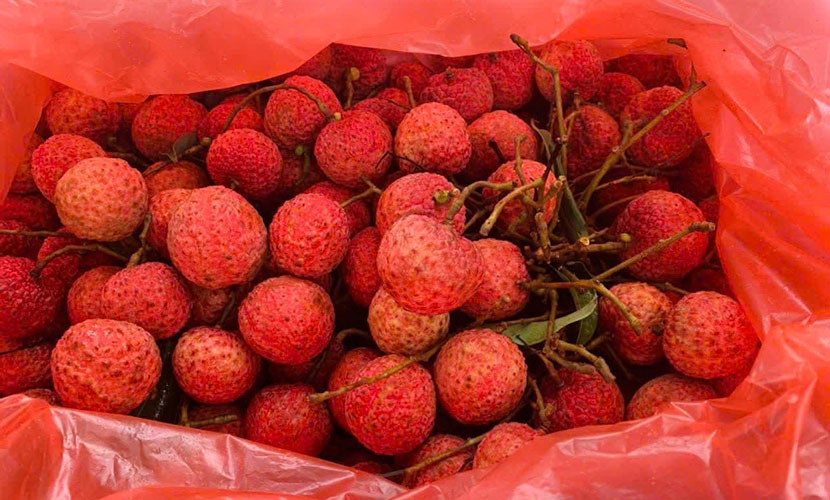 Vietnamese lychee packing style