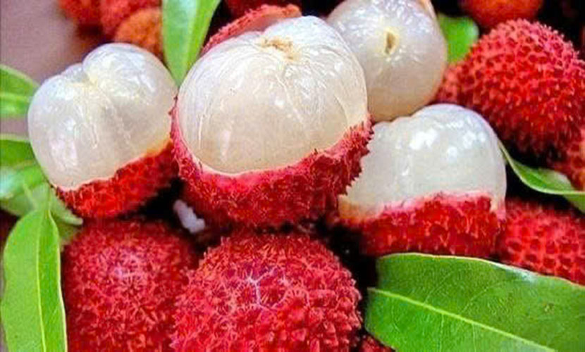 Vietnamese lychee