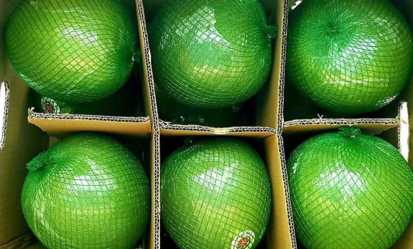 Vietnam's grapefruit