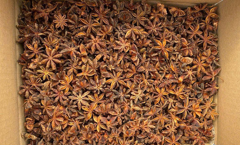Lang Son's star anise carton box