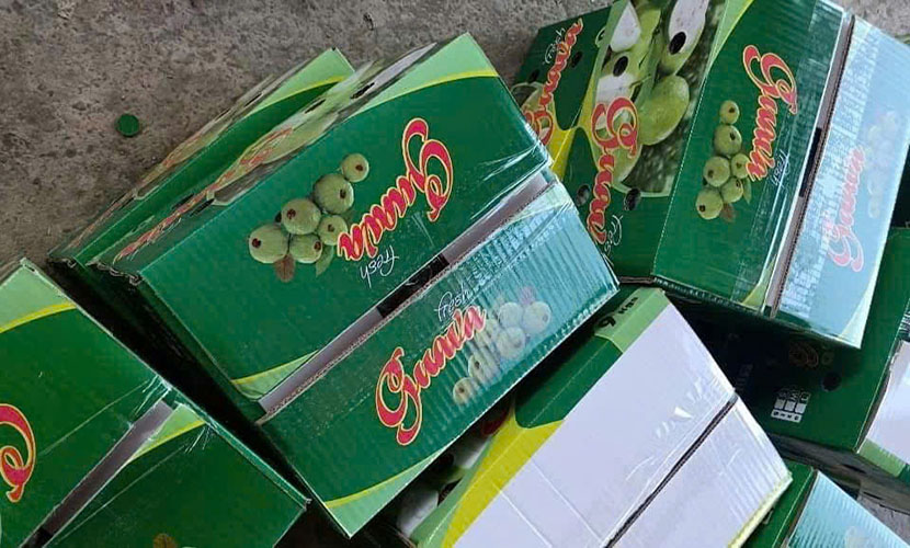 Vietnamese guava carton boxes