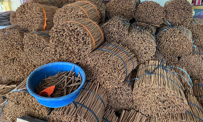 Vietnam's cinnamon long sticks