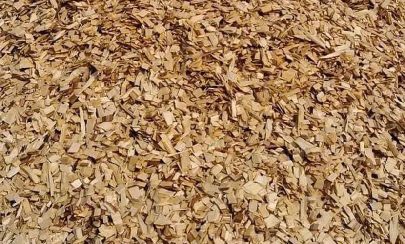 Vietnam's wood chips