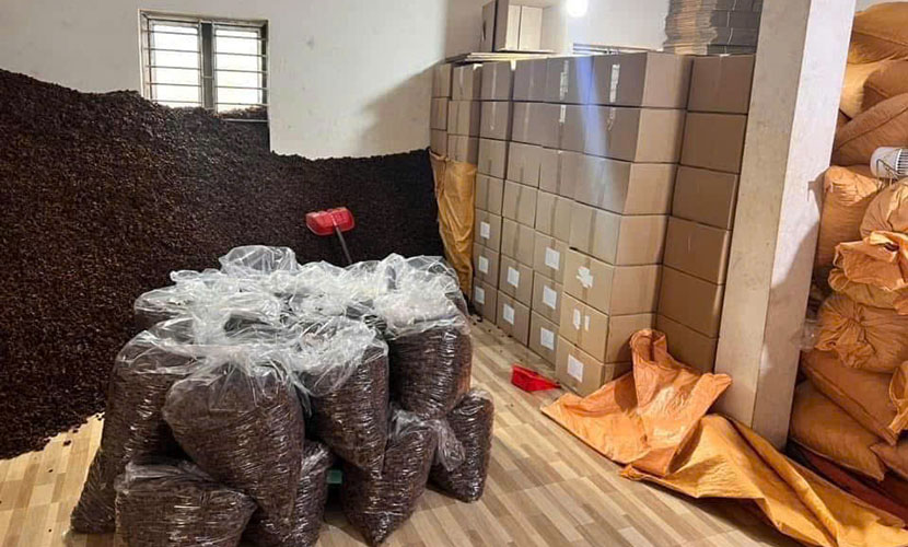 Saigon star anise factory