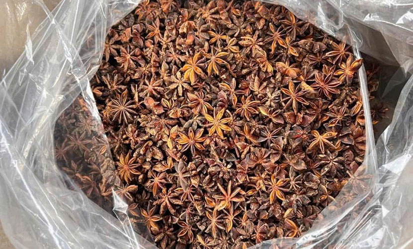 Saigon star anise