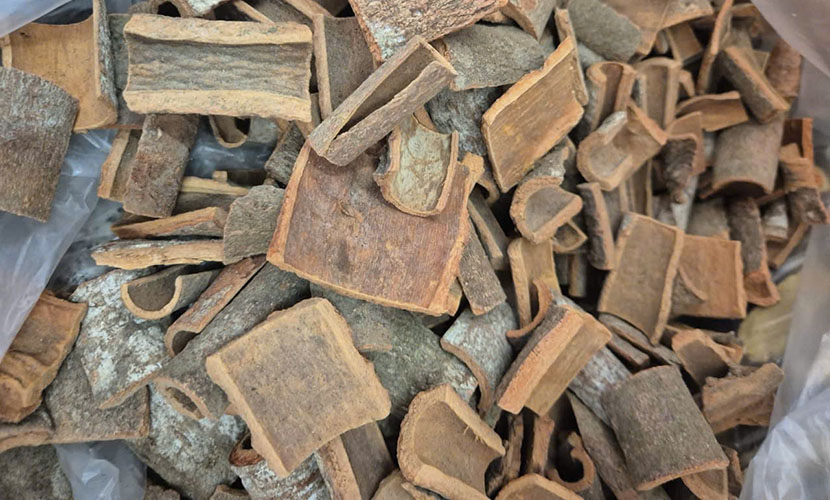 Organic cinnamon square cut from Vietnam