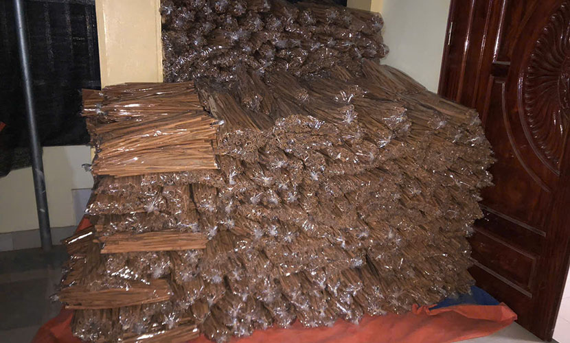 Vietnam's organic cinnamon: long sticks