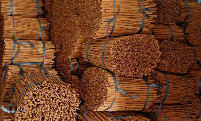 Vietnam's organic cinnamon materials