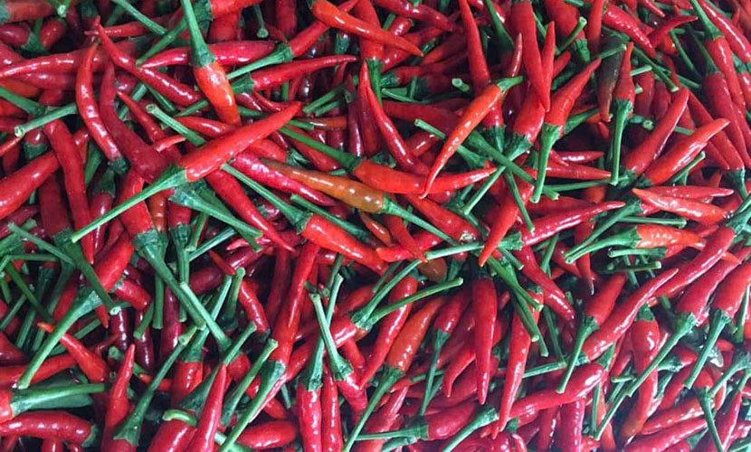 Vietnamese chili imports