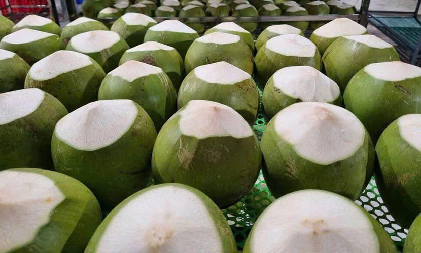 Vietnameese coconut exports