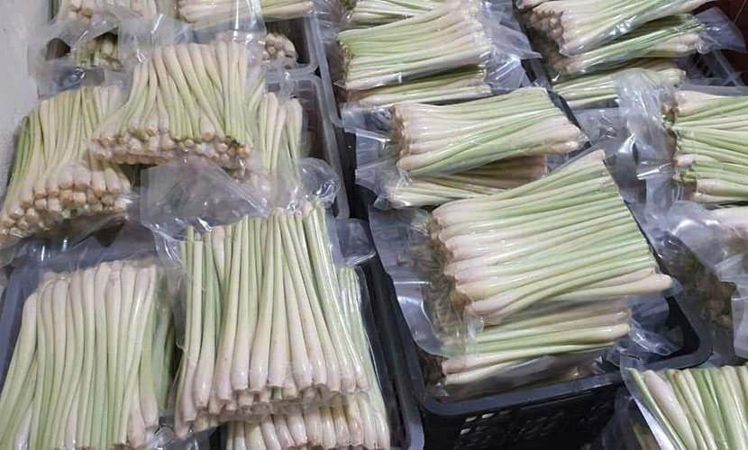 Vietnamese lemongrass