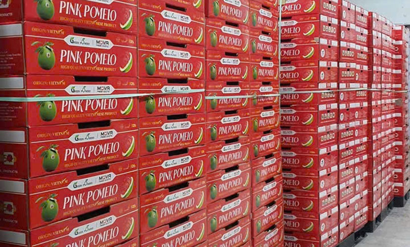 Vietnamese pomelo carton boxes