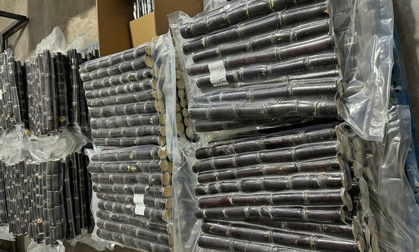 Vietnamese sugarcane packing