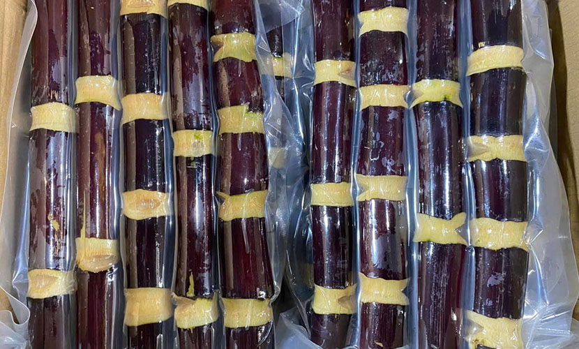 Vietnamese purple sugarcane