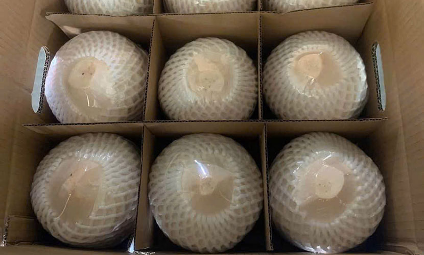 Vietnamese young coconut for export