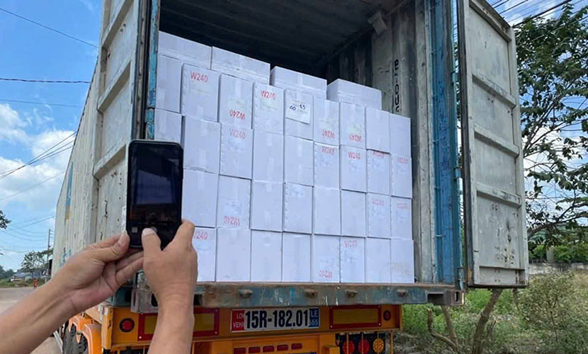 Loading Vietnamese cashew nuts