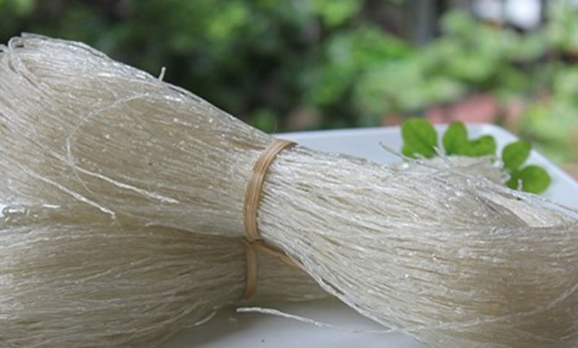 Binh Lieu canna starch glass noodles