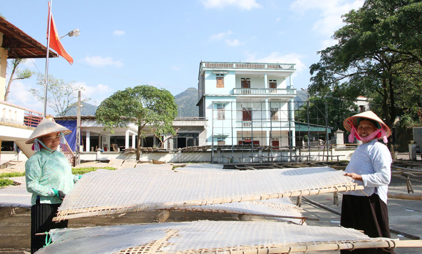 Producing Binh Lieu canna starch noodles