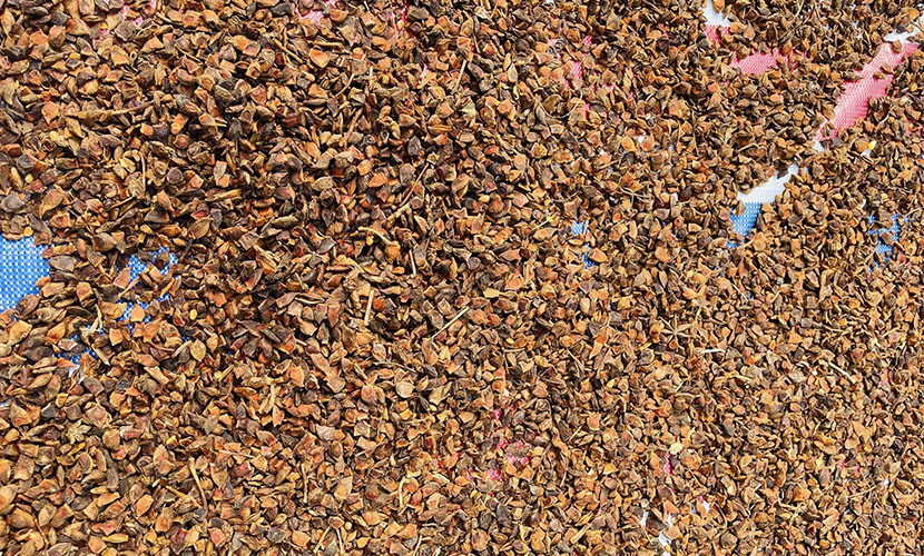 Broken star anise from Vietnam