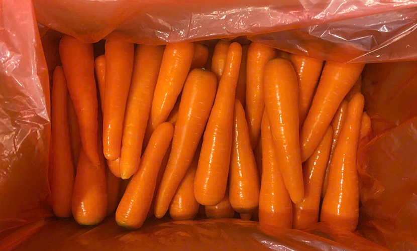 Export-quality carrots from Agrideco Vietnam Co., Ltd.