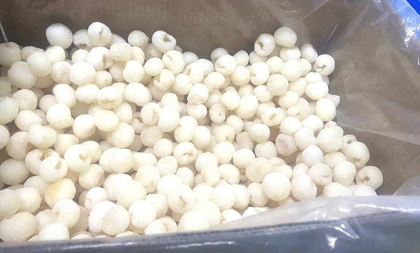 Frozen lychee in Vietnam