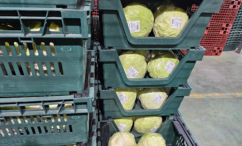 Hai Duong's cababge on the supermarket