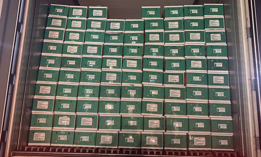 Loading Hai Duong carrots for export