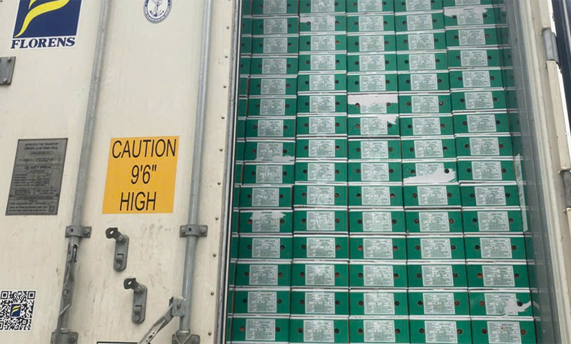 Loading Vietnam'ss carrots for export