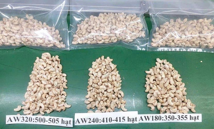 Main types of Vietnam's cashew kernels