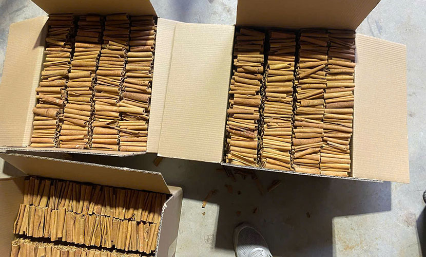 Vietnam's cinnamon sticks