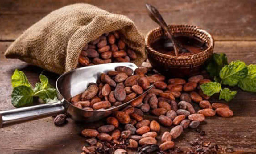 Vietnam's cocoa beans