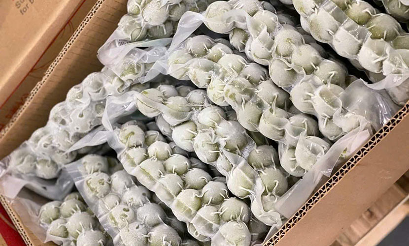 Vietnam's frozen dracontomelon