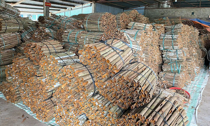 Vietnam's organic whole cassia