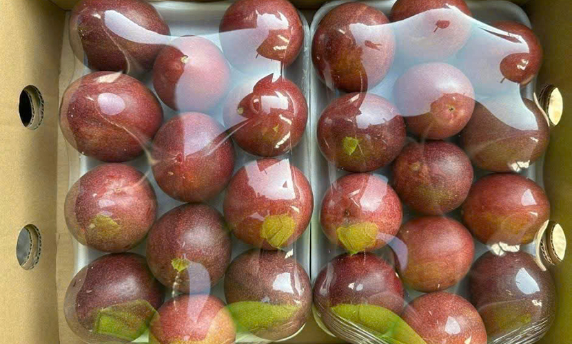 Vietnam's passion fruit